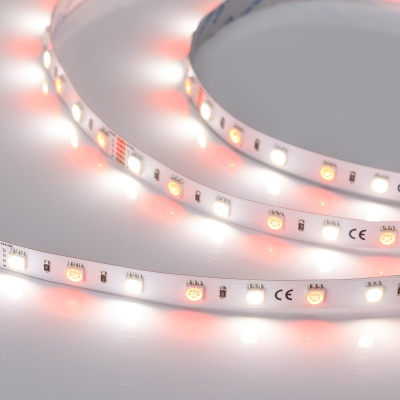 Лента RT-B60-10mm 24V RGBW-Day (14.4 W/m, IP20, 5060, 5m) (Arlight, Открытый) ARLIGHT Арт. 018326(2)