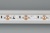 Лента RS 2-5000 24V Day4000 2x2 8mm (3014, 240 LED/m, LUX) (Arlight, 14.4 Вт/м, IP20) ARLIGHT Арт. 024465