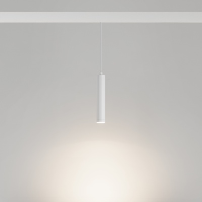 Светильник MAG-ORIENT-SPOT-HANG-R45-12W Day4000 (WH, 24 deg, 48V) (Arlight, IP20 Металл, 5 лет)