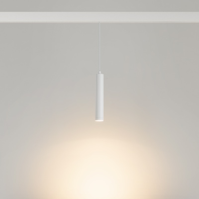 Светильник MAG-ORIENT-SPOT-HANG-R45-12W Warm3000 (WH, 24 deg, 48V) (Arlight, IP20 Металл, 5 лет)