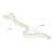 Грейзер THOR-3D-A24-25x27mm 24V Warm3000 (24 W/m, IP65, 1m, wire x2) (Arlight, Вывод прямой, 3 года) ARLIGHT Арт. 045254 Грейзер THOR-3D-A24-25x27mm 24V Warm3000 (24 W/m, IP65, 1m, wire x2) (Arlight, Вывод прямой, 3 года) ARLIGHT Арт. 045254