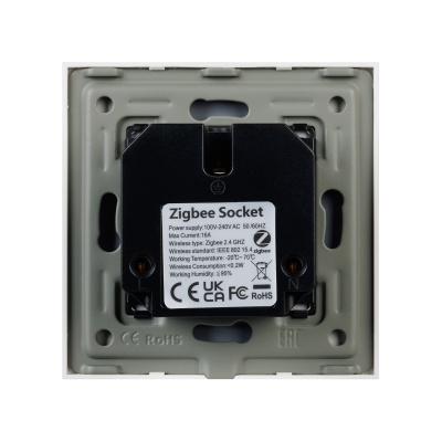 Розетка электрическая с Zigbee управлением SCT-OMALI-EUZB1-PL-WH (240V, 16A, Zigbee) (Arlight, -)