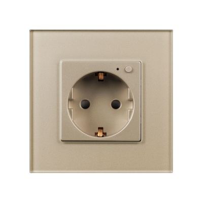 Розетка электрическая с Zigbee управлением SCT-OMALI-EUZB1-PL-GD (240V, 16A, Zigbee) (Arlight, -)