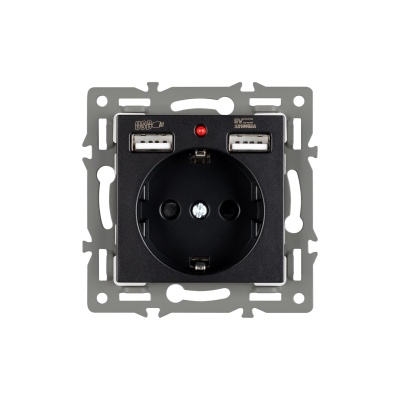 Механизм розетки с USB зарядкой SCT-MUAA-PL-BK (250V, 16A) (Arlight, -)