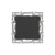 Заглушка для розетки SCT-MGG-PL-BK (Arlight, -) Заглушка для розетки SCT-MGG-PL-BK (Arlight, -)