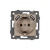 Механизм розетки с USB зарядкой SCT-MUAA-PL-GD-V (250V, 16A) (Arlight, -) Механизм розетки с USB зарядкой SCT-MUAA-PL-GD-V (250V, 16A) (Arlight, -)