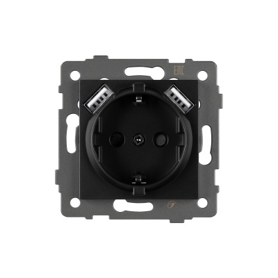 Механизм розетки с USB зарядкой SCT-MUAA-PL-BK-V (250V, 16A) (Arlight, -)