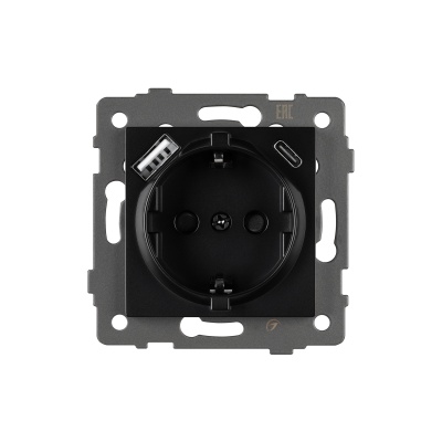 Механизм розетки с USB зарядкой SCT-MUAC-PL-BK-V (250V, 16A) (Arlight, -)