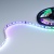 Светодиодная лента DMX-5000-5060-60 24V Cx6 RGB (12mm, 12.5W, IP20) (Arlight, Открытый, IP20) ARLIGHT Арт. 024455(1) Светодиодная лента DMX-5000-5060-60 24V Cx6 RGB (12mm, 12.5W, IP20) (Arlight, Открытый, IP20) ARLIGHT Арт. 024455(1)