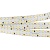 Лента S2-2500 24V Warm 3000K 15mm (2835, 280 LED/m, LUX) (Arlight, 20 Вт/м, IP20)