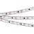Светодиодная лента SPI-5000PGS-RAM-5060-60 12V Cx3 RGB-Auto (12mm, 12W/m, IP67, Arlight, Закрытый, IP67)