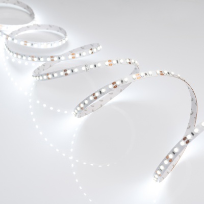Светодиодная лента RT2-3528-120-12V White (600 LED, NormaLED, 9.6 Вт/м, IP20) ARLIGHT Арт. 014389