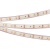 Лента RTW 2-5000PGS 12V Day 2x (3528, 600 LED, LUX) (Arlight, 9.6 Вт/м, IP67) Лента RTW 2-5000PGS 12V Day 2x (3528, 600 LED, LUX) (Arlight, 9.6 Вт/м, IP67)