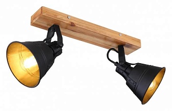 Спот Globo Günther 15466S-2