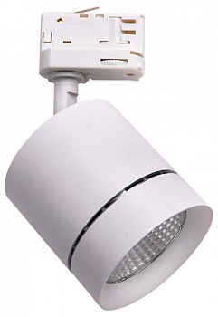Светильник на штанге Lightstar Canno 301562