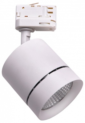 Светильник на штанге Lightstar Canno 301562