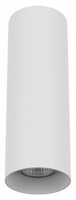 Накладной светильник Lightstar Rullo 216496