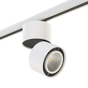 Светильник на штанге Lightstar Forte Muro A3T214850