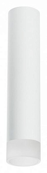 Накладной светильник Lightstar Rullo R49631