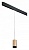 Подвесной светильник Lightstar Rullo PRORP440437