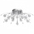 Потолочная люстра MW-Light Амелия 360014116 Потолочная люстра MW-Light Амелия 360014116