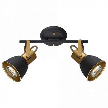 Спот Arte Lamp Jovi A1677PL-2GO