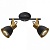Спот Arte Lamp Jovi A1677PL-2GO