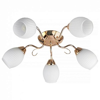 Потолочная люстра TopLight Kristin TL3520X-05FG