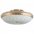Светильник на штанге TopLight Loreen TL1492Y-05GC Светильник на штанге TopLight Loreen TL1492Y-05GC