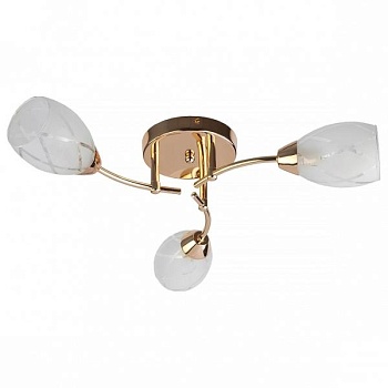 Потолочная люстра TopLight Lucy TL7120X-03FG