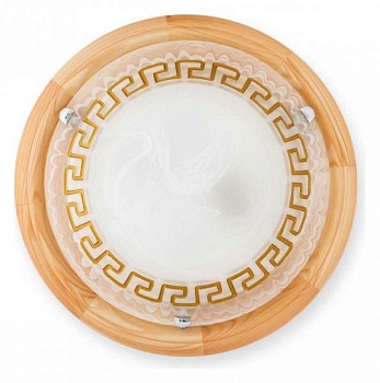 Накладной светильник TopLight Gien TL9173Y-02PN