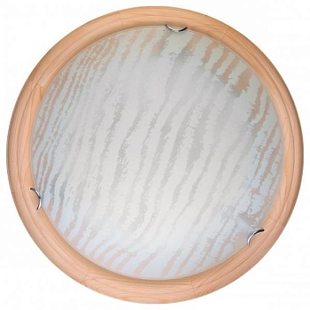 Накладной светильник TopLight Calista TL9490Y-00PN