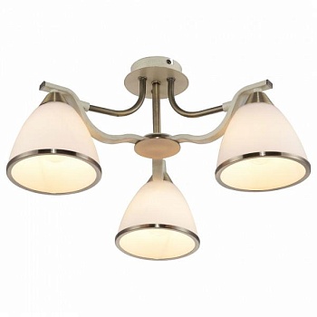 Потолочная люстра TopLight Sheena TL3670X-03AB