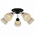 Потолочная люстра TopLight Winnifred TL1255D-05BC