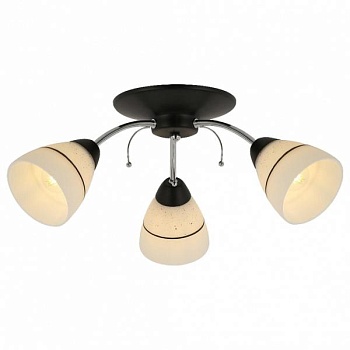 Потолочная люстра TopLight Winnifred TL1255D-03BC