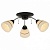 Потолочная люстра TopLight Winnifred TL1255D-03BC