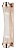 Накладной светильник Vele Luce Clarinetto VL3314W42