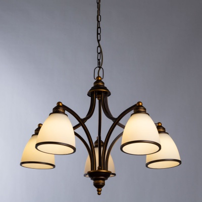 Подвесная люстра Arte Lamp Bonito A9518LM-5BA