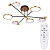 Люстра на штанге Arte Lamp Holly A1364PL-6PB