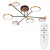Люстра на штанге Arte Lamp Holly A1364PL-6PB Люстра на штанге Arte Lamp Holly A1364PL-6PB
