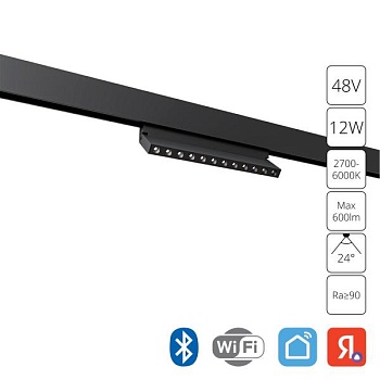 Накладной светильник Arte Lamp Expert A5746PL-1BK