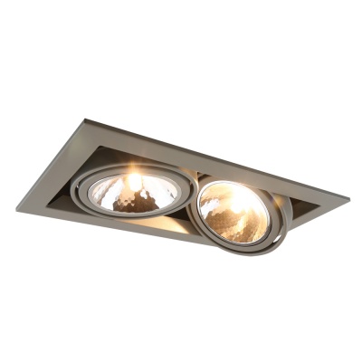 Встраиваемый светильник Arte Lamp Cardani Semplice A5949PL-2GY