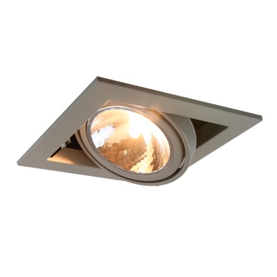 Встраиваемый светильник Arte Lamp Cardani Semplice A5949PL-1GY