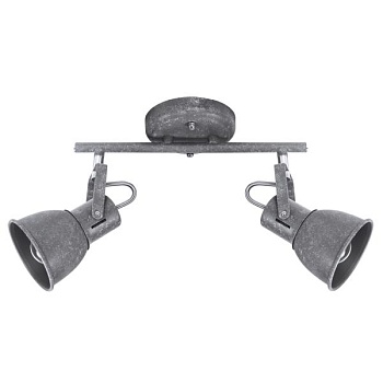 Спот Arte Lamp Jovi A1677PL-2GY