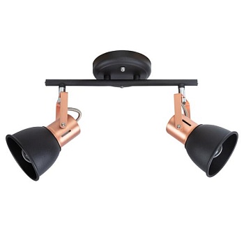 Спот Arte Lamp Jovi A1677PL-2BK