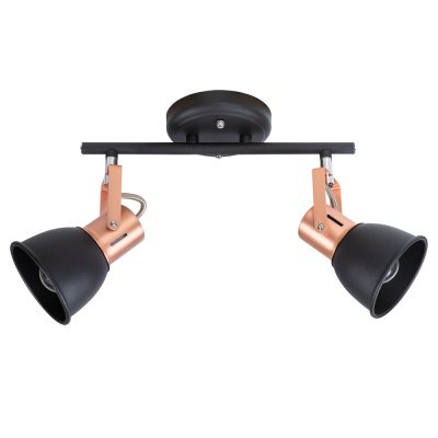 Спот Arte Lamp Jovi A1677PL-2BK