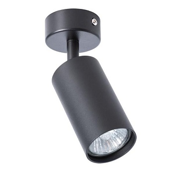 Спот Arte Lamp Aquarius A3216PL-1BK