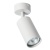 Спот Arte Lamp Aquarius A3216PL-1GY Спот Arte Lamp Aquarius A3216PL-1GY