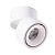 Накладной светильник Arte Lamp Arcturus A7715PL-1WH