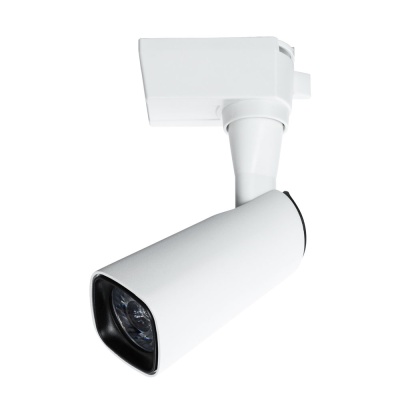 Светильник на штанге Arte Lamp Barut A4561PL-1WH